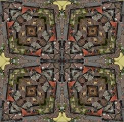 IMG_3140Kal5.jpg